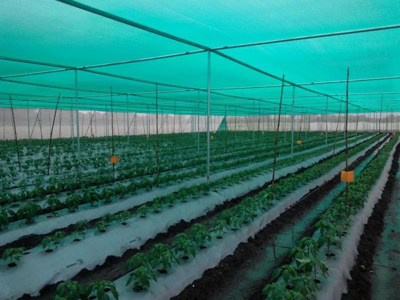 vật liệu dùng để làm nhà lưới