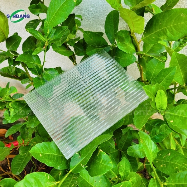 tam polycarbonate rong ruot solite 4 Tấm nhựa lấy sáng Solite siêu nhẹ