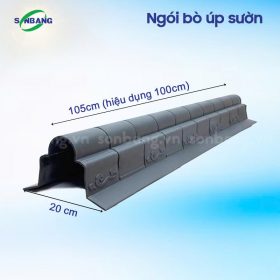 ngoi nhua am duong 6 ngoi nhua am duong 6