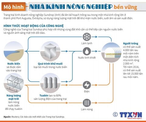 mô hình nhà kính nông nghiệp