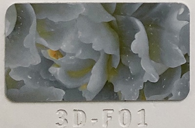 3D-F01