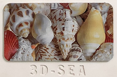 3D-SEA
