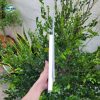 tam nhua pvc ky thuat 3 Tấm nhựa PVC kỹ thuật kháng hóa chất - Ảnh 3