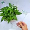 tam mica trong suot 2 Tấm Mica trong suốt chất lượng cao đủ ly - Ảnh 3