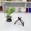 mica dai loan 5 Tấm mica Đài Loan Fusheng, Chochen chính hãng - Ảnh 4