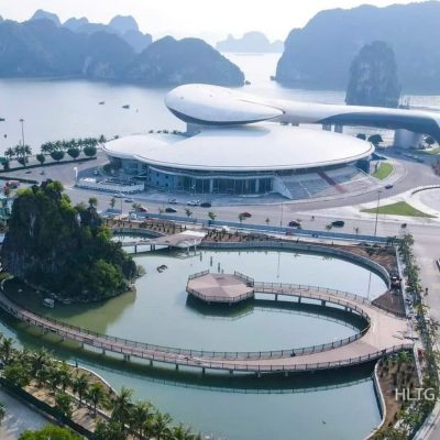 cung ca heo ha long 7
