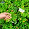 tam mica 10mm dai loan 3 Tấm mica 10mm trong suốt, đủ màu Đài Loan - Ảnh 5