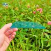Tấm Poly rỗng 5mm Twinlite bảo hành 10 năm - Ảnh 3