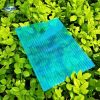 Tấm Poly rỗng 5mm Twinlite bảo hành 10 năm - Ảnh 5