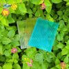 Tấm Poly rỗng 5mm Twinlite bảo hành 10 năm - Ảnh 8