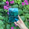 12 Tấm Poly đặc 2mm SolMart bảo hành 7 năm - Ảnh 3