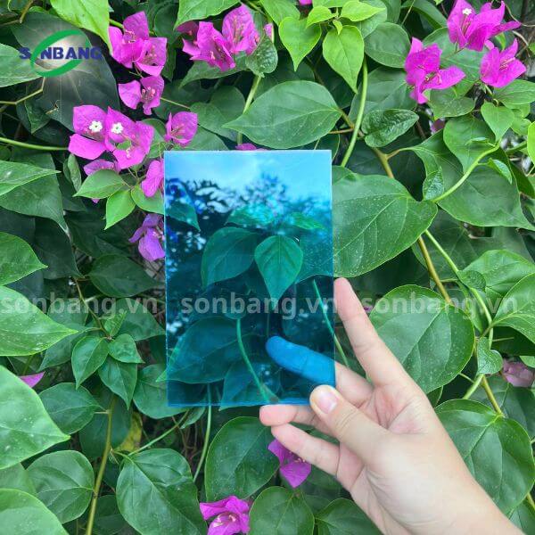 12 Tấm Poly đặc 2mm SolMart bảo hành 7 năm - Ảnh 3