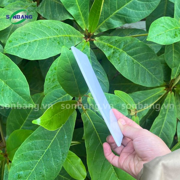 2 Tấm Poly đặc 1.5mm