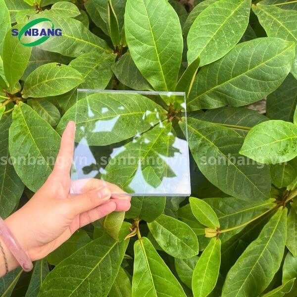 31 Tấm Poly đặc 4mm SolMart bảo hành 7 năm - Ảnh 3