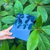 5 Tấm Poly đặc 1.5mm